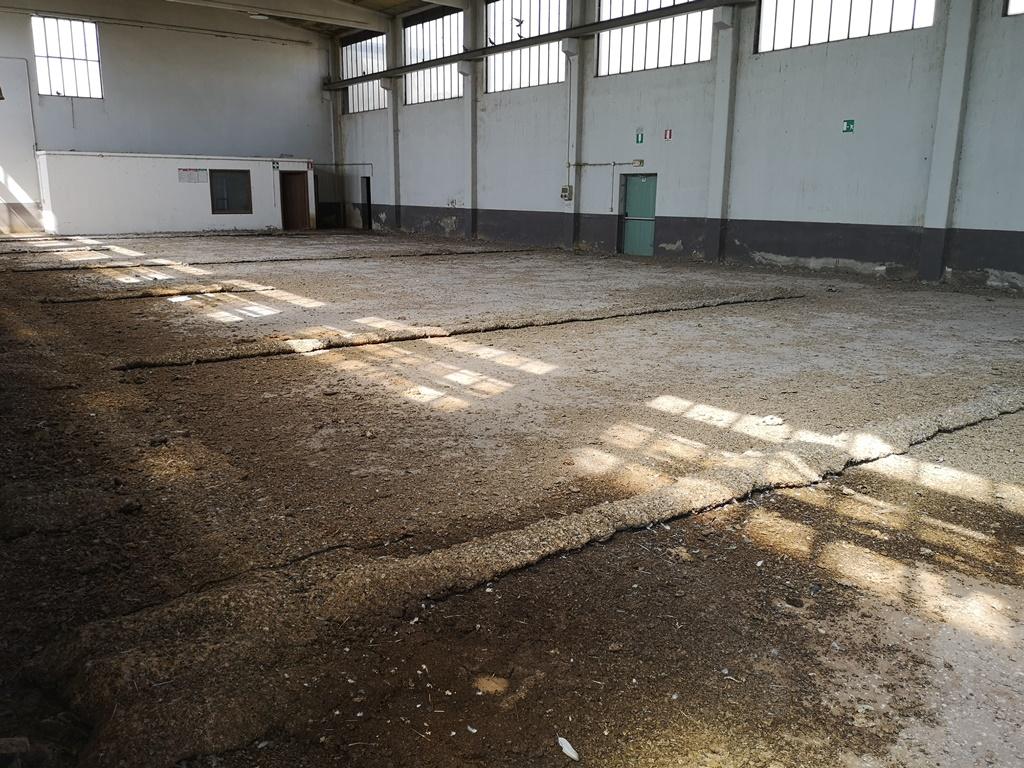 Foto 6
