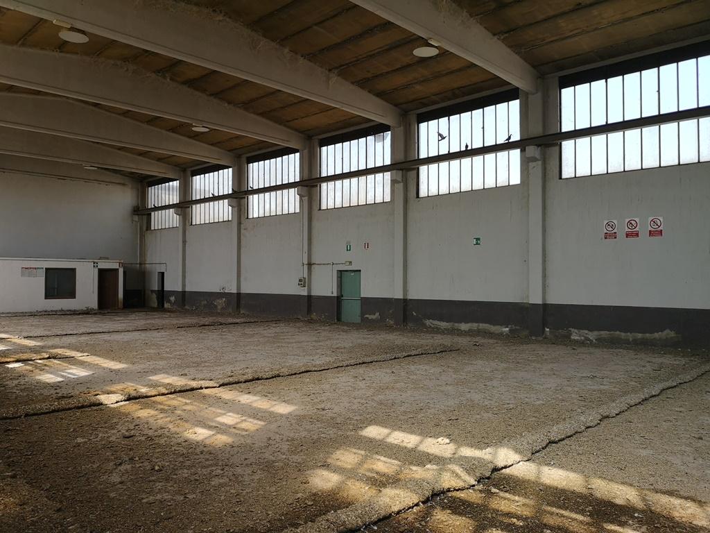 Foto 8