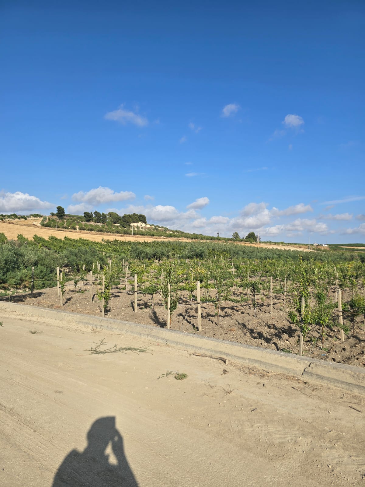 ???search.results.noimage???