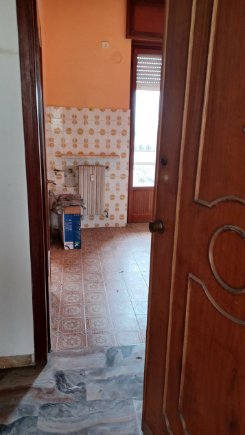 Foto4