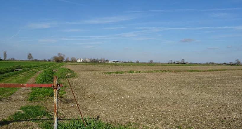 Foto4