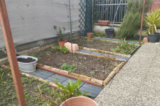Foto9