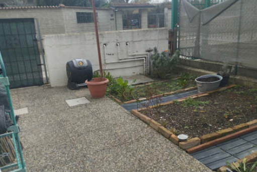 Foto8
