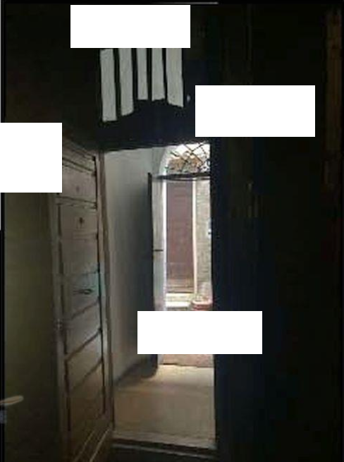 Foto5