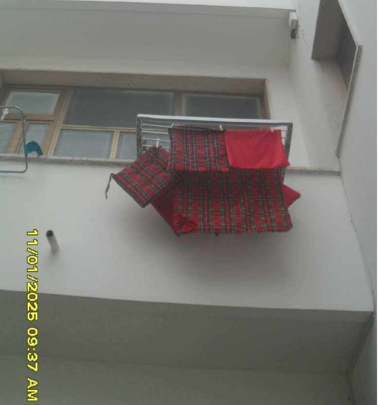 Foto3