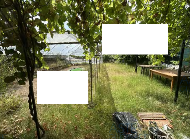 Foto13