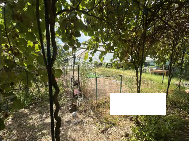 Foto12