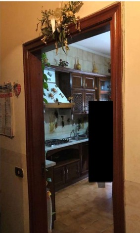 Foto7