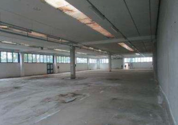 Foto11
