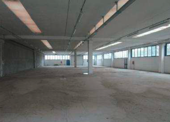 Foto10