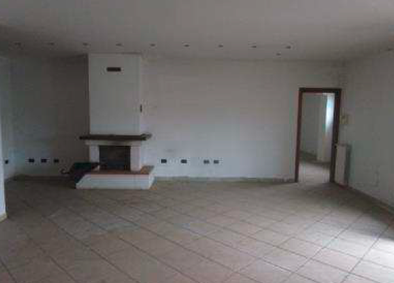 Foto7