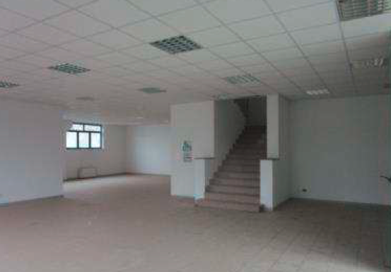 Foto3