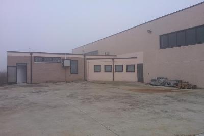 Foto 6